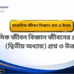 West Bengal Board Class 4 Book PDF চতুর্থ শ্রেণীর বই PDF